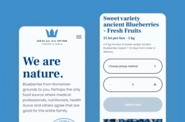 Dealul cu afine - Ecommerce Website Design
